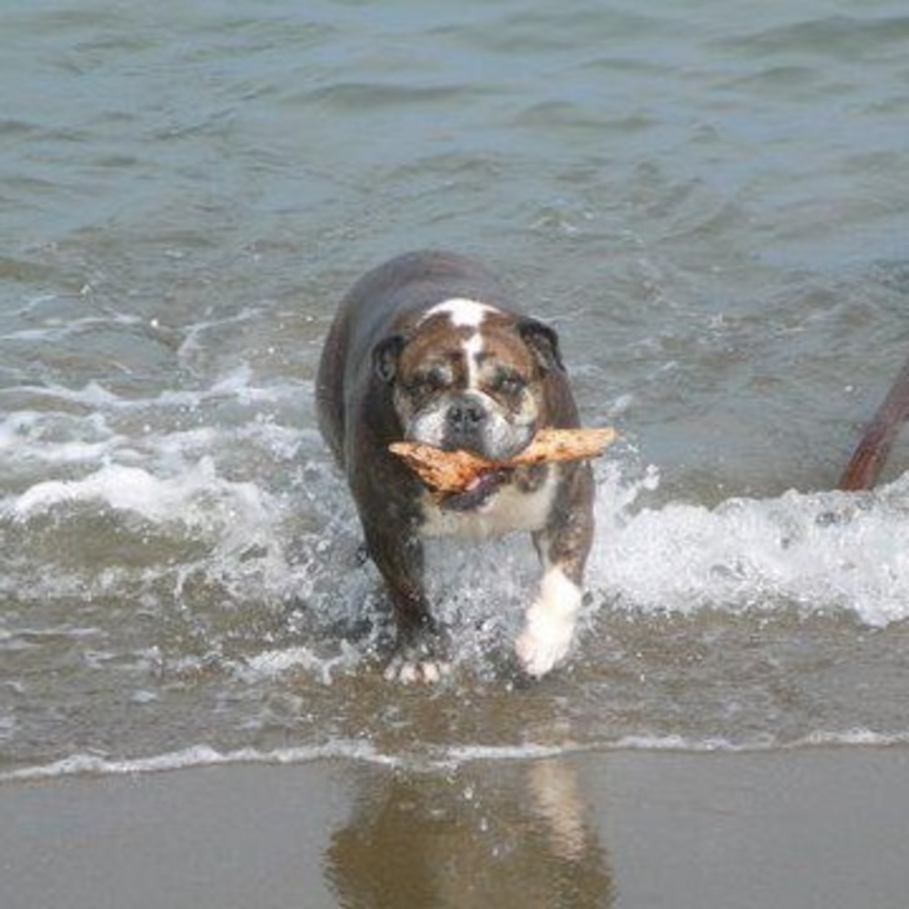 Meet your Posher, Nan